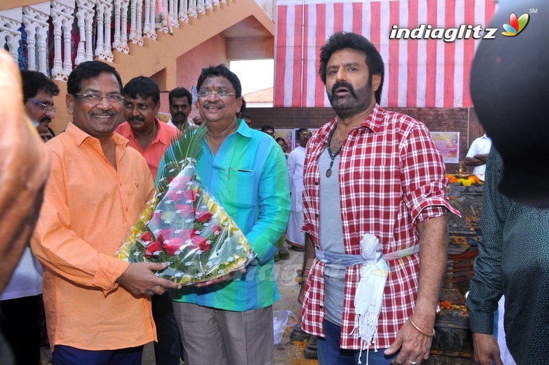 Balakrishna's 102nd Movie Launch