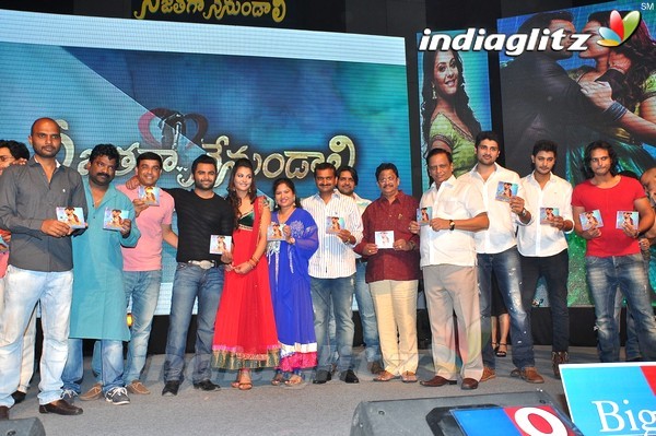Nee Jathaga Nenundali Audio Launch