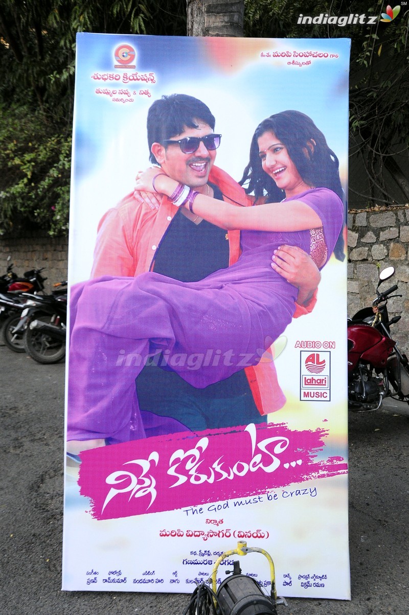 'Ninne Korukunta' Audio Launch