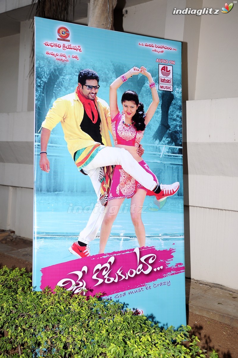 'Ninne Korukunta' Audio Launch