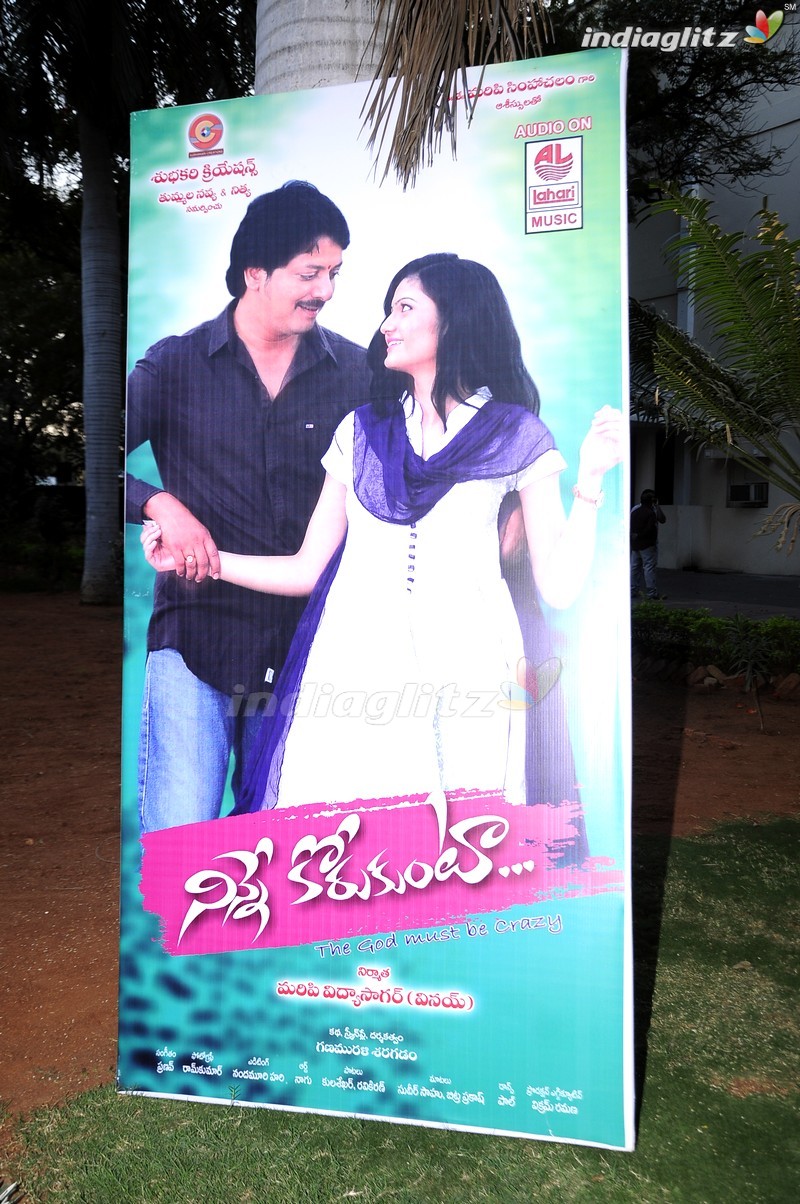 'Ninne Korukunta' Audio Launch