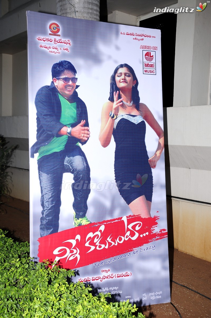 'Ninne Korukunta' Audio Launch