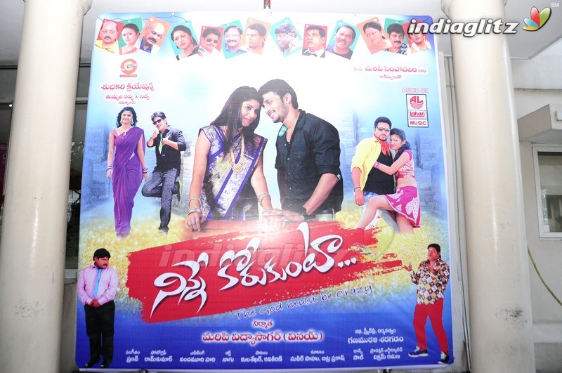 'Ninne Korukunta' Audio Launch