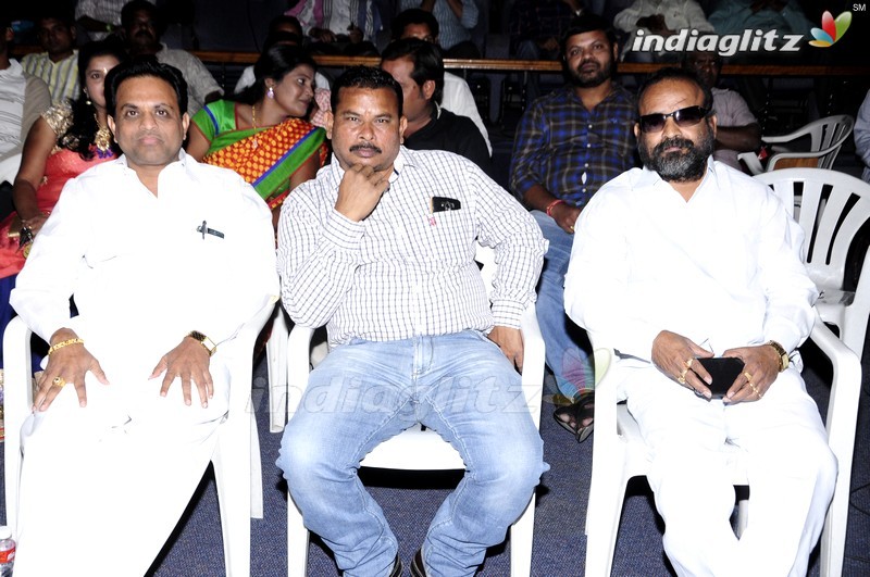 'Ninne Korukunta' Audio Launch