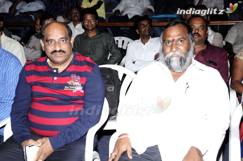 'Ninne Korukunta' Audio Launch