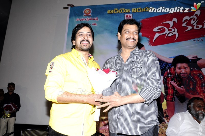 'Ninne Korukunta' Audio Launch