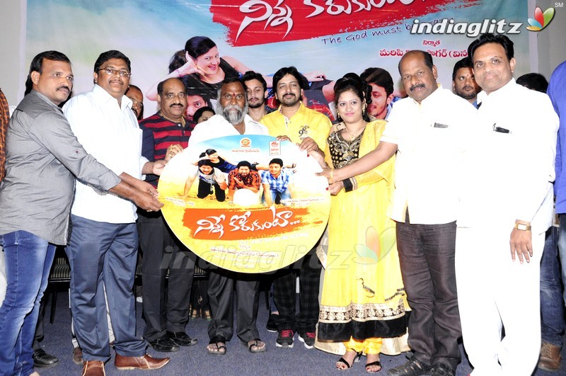 'Ninne Korukunta' Audio Launch