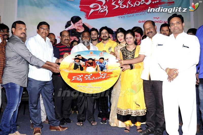 'Ninne Korukunta' Audio Launch