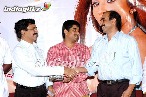 'No Entry' Audio Launch
