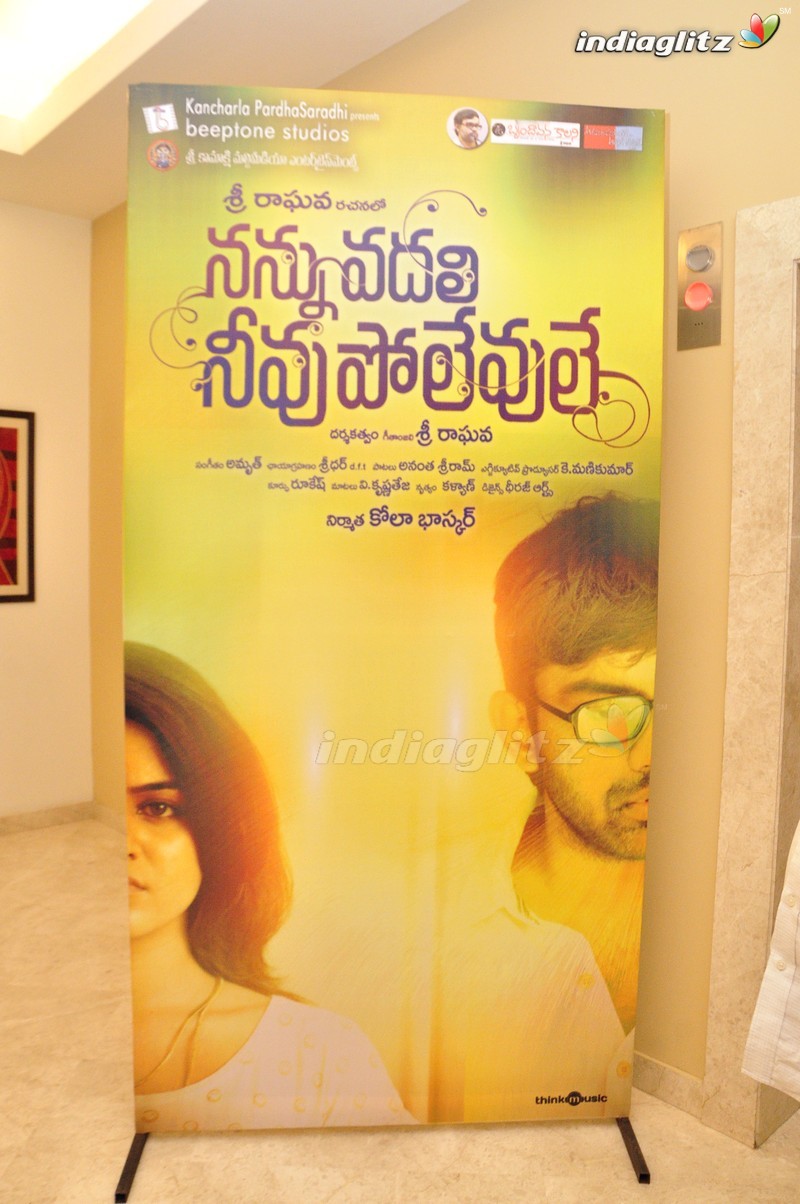 'Nannu Vadili Neevu Polevule' Audio Launch