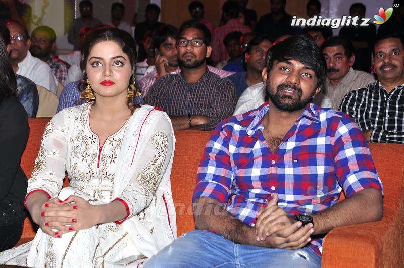 'Nannu Vadili Neevu Polevule' Audio Launch