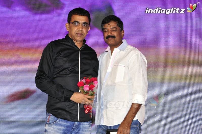 'Nannu Vadili Neevu Polevule' Audio Launch