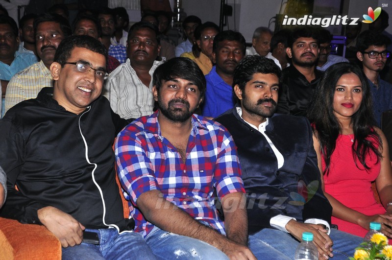 'Nannu Vadili Neevu Polevule' Audio Launch