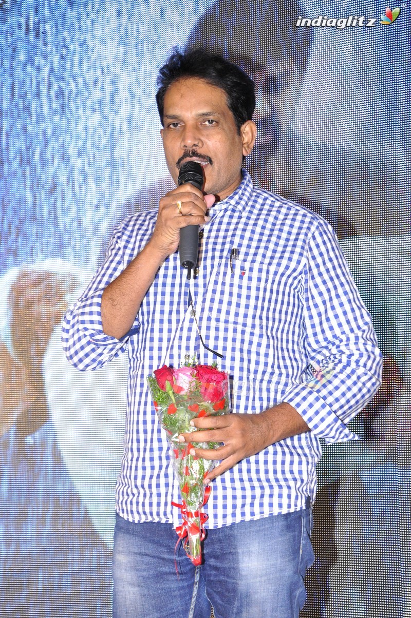 'Nannu Vadili Neevu Polevule' Audio Launch