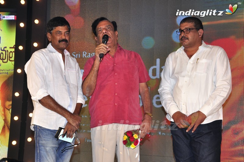 'Nannu Vadili Neevu Polevule' Audio Launch