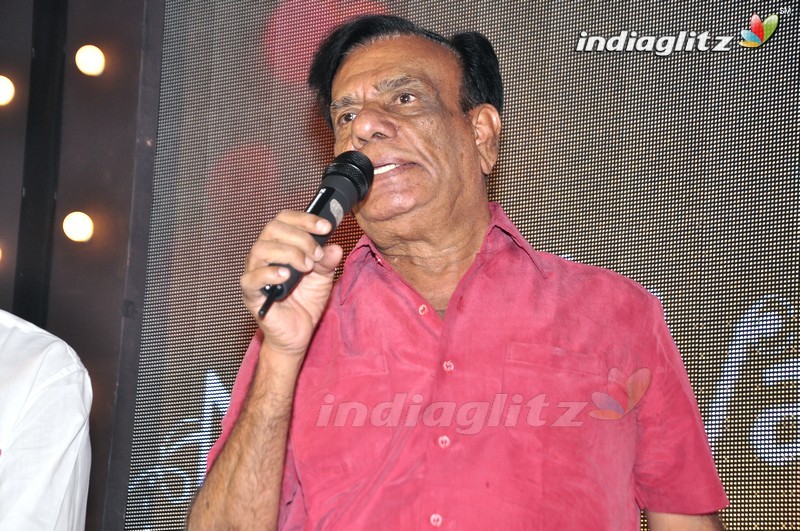 'Nannu Vadili Neevu Polevule' Audio Launch