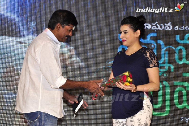 'Nannu Vadili Neevu Polevule' Audio Launch