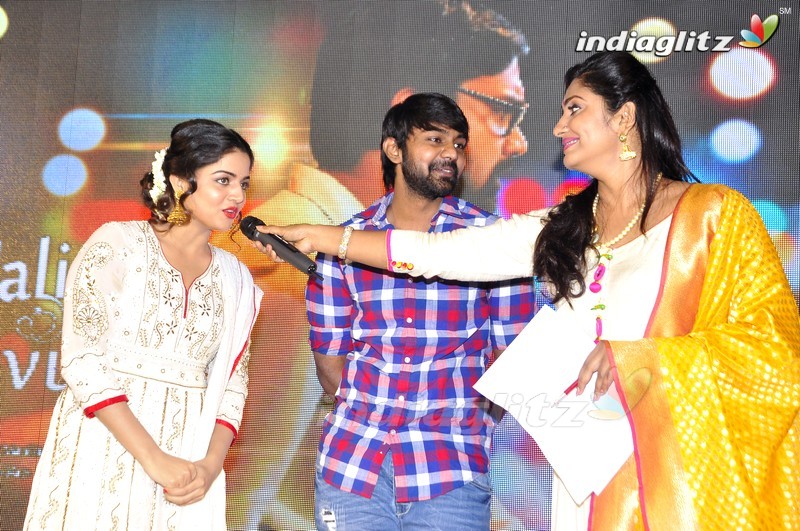 'Nannu Vadili Neevu Polevule' Audio Launch