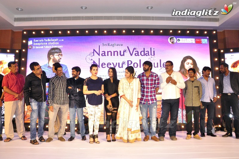 'Nannu Vadili Neevu Polevule' Audio Launch