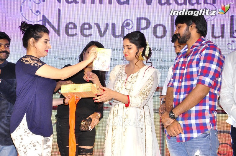 'Nannu Vadili Neevu Polevule' Audio Launch