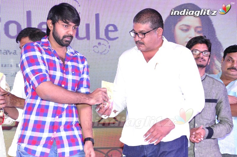 'Nannu Vadili Neevu Polevule' Audio Launch