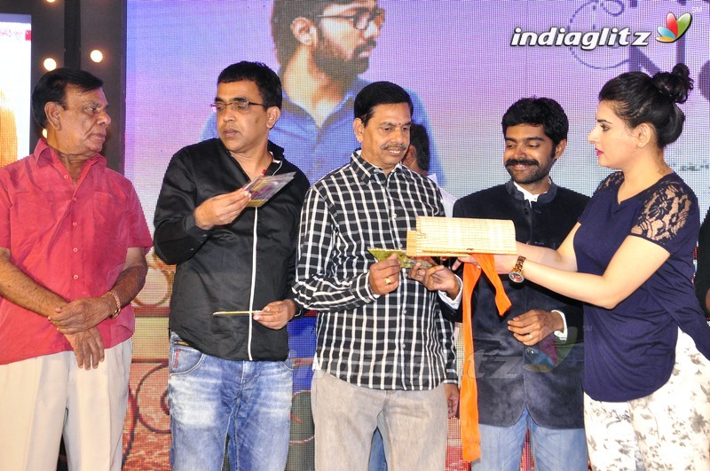 'Nannu Vadili Neevu Polevule' Audio Launch