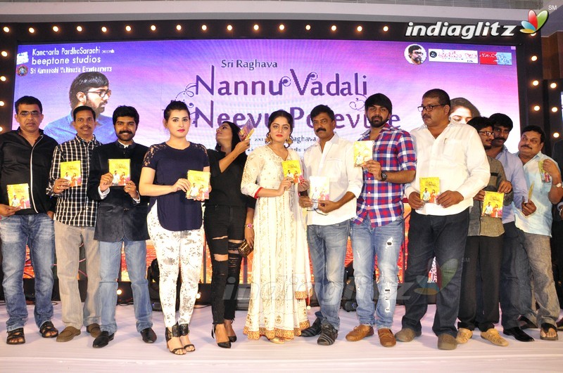 'Nannu Vadili Neevu Polevule' Audio Launch