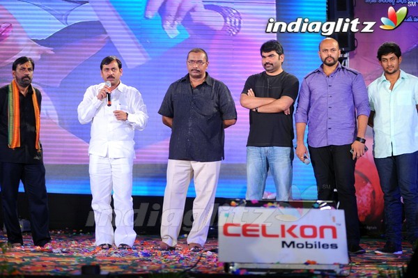 'Pavitra' Audio Launch (Set-2)