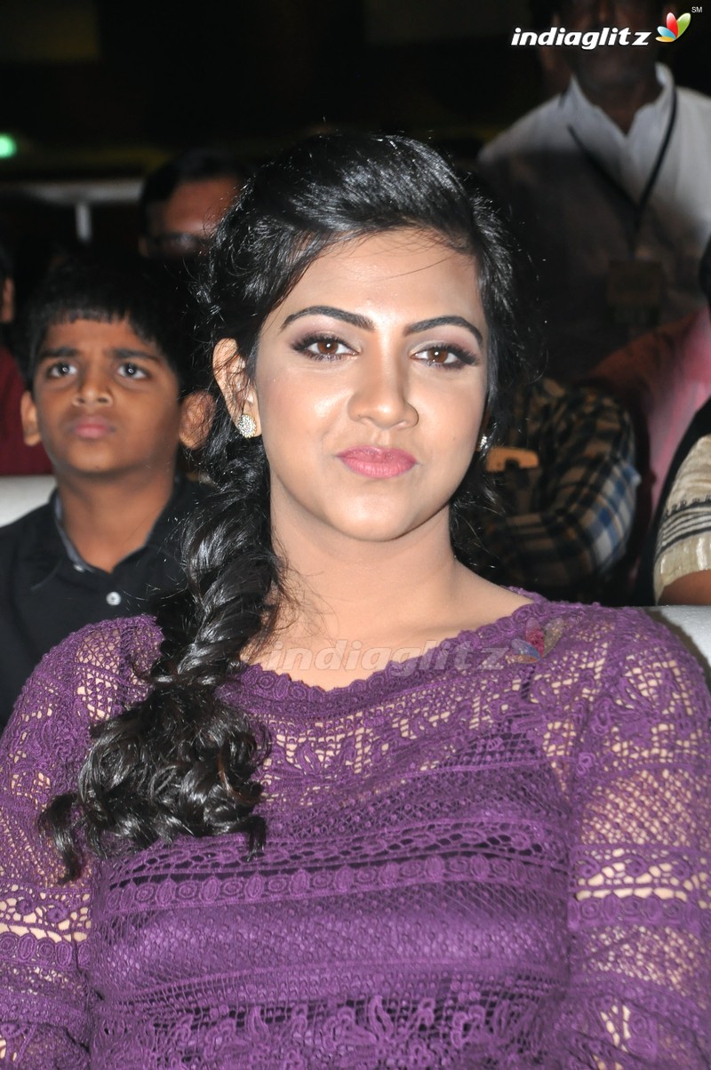 'Premam' Audio Launch (Set-1)