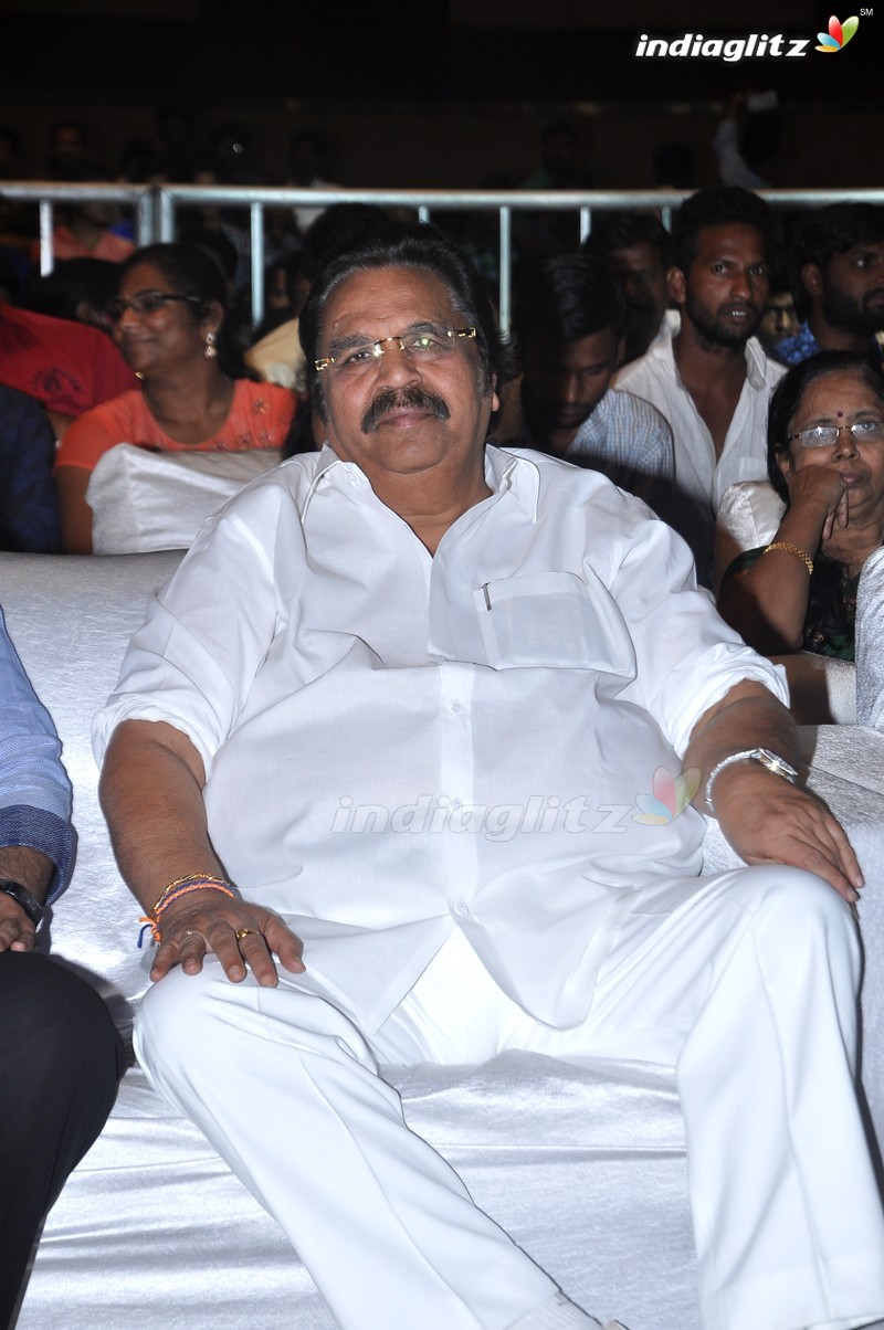 'Premam' Audio Launch (Set-1)