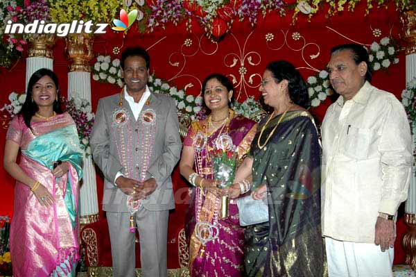 Ravi C Kumar's Wedding Reception