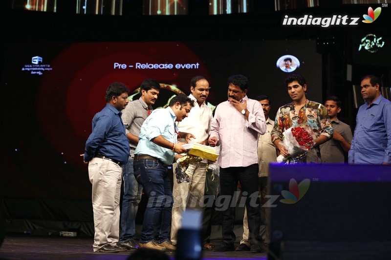 'Sarainodu' Audio Success Meet @ Vizag (Set-2)