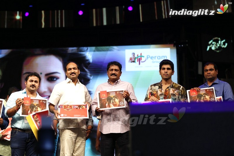 'Sarainodu' Audio Success Meet @ Vizag (Set-2)