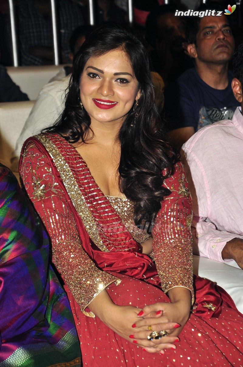 'Sardaar Gabbar Singh' Audio Launch (Set-2)