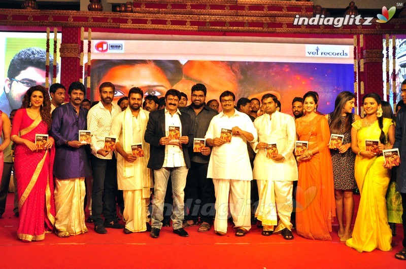 'Savithri' Audio Launch (Set-2)