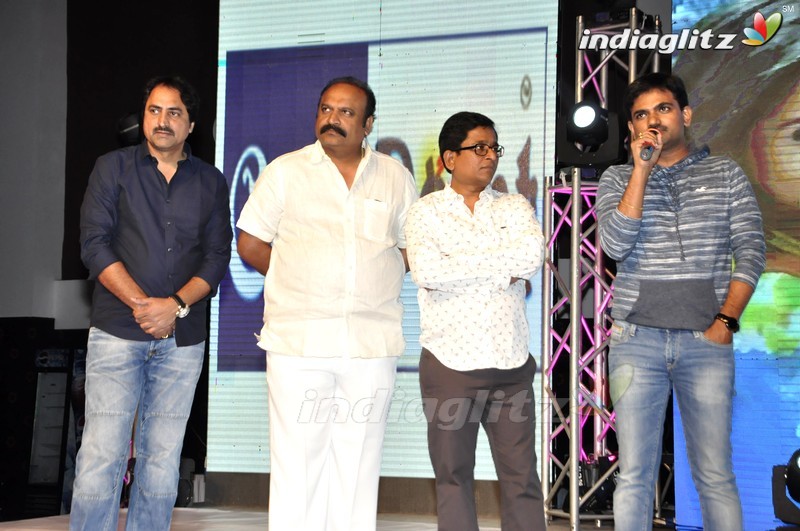 'Seethamma Andalu Ramayya Sitralu' Audio Launch