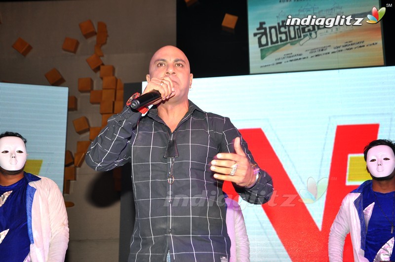 'Shankarabharanam' Audio Launch (Set-1)