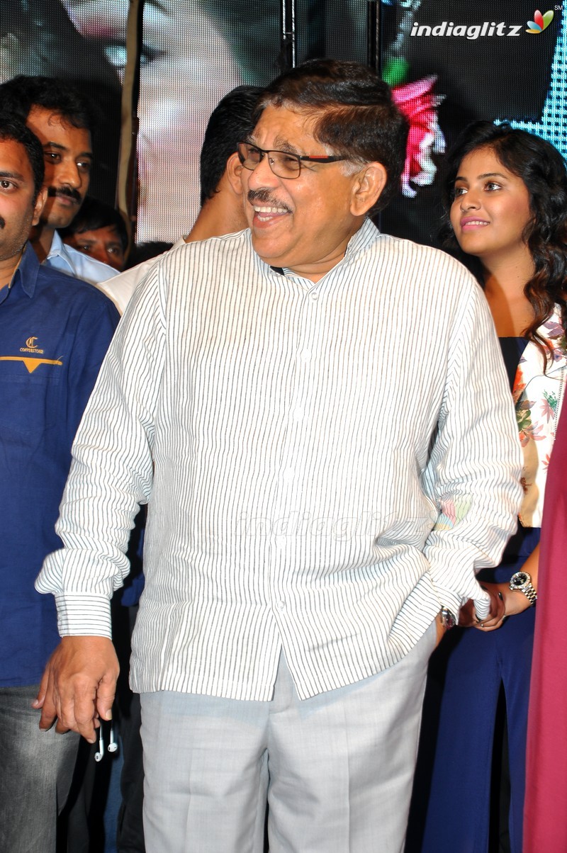 'Shankarabharanam' Audio Launch (Set-2)