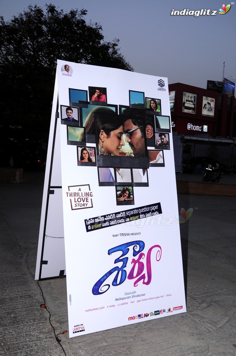 'Shourya' Audio Launch (Set-1)