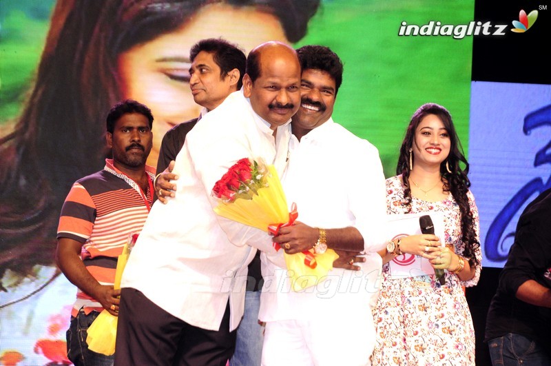 'Shourya' Audio Launch (Set-1)