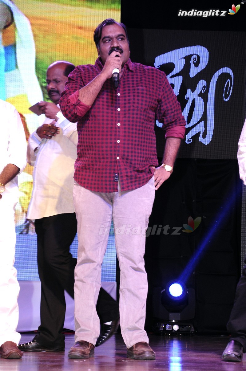 'Shourya' Audio Launch (Set-1)