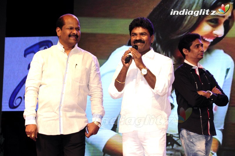 'Shourya' Audio Launch (Set-1)