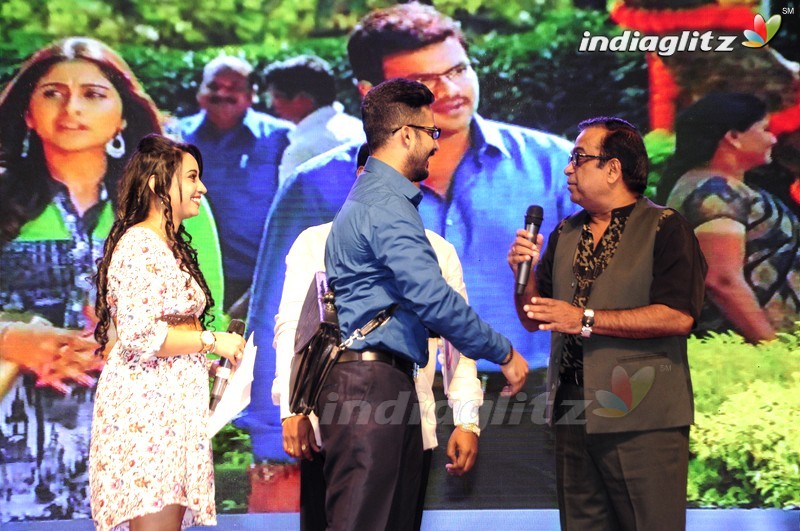 'Shourya' Audio Launch (Set-1)