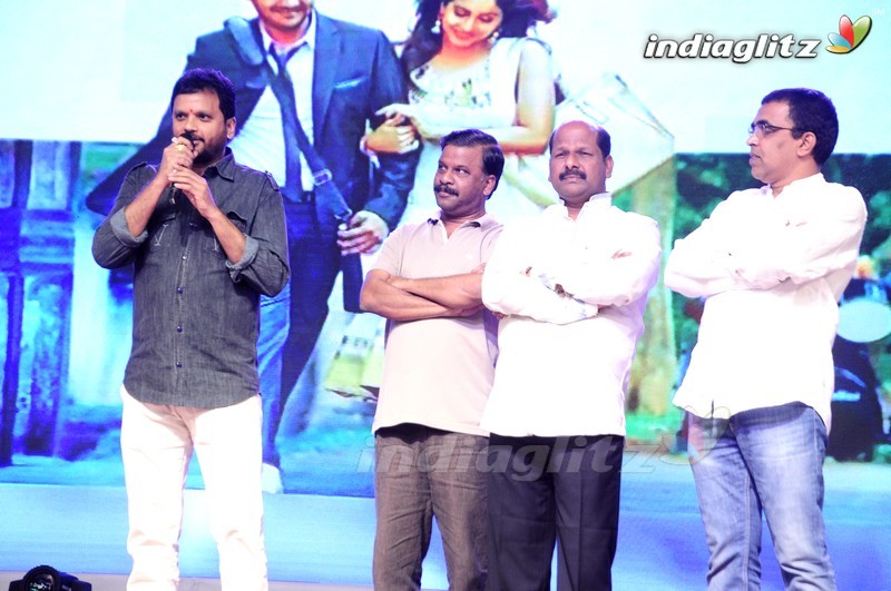 'Shourya' Audio Launch (Set-1)