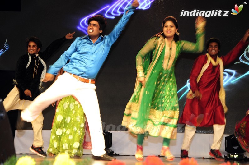 'Shourya' Audio Launch (Set-2)