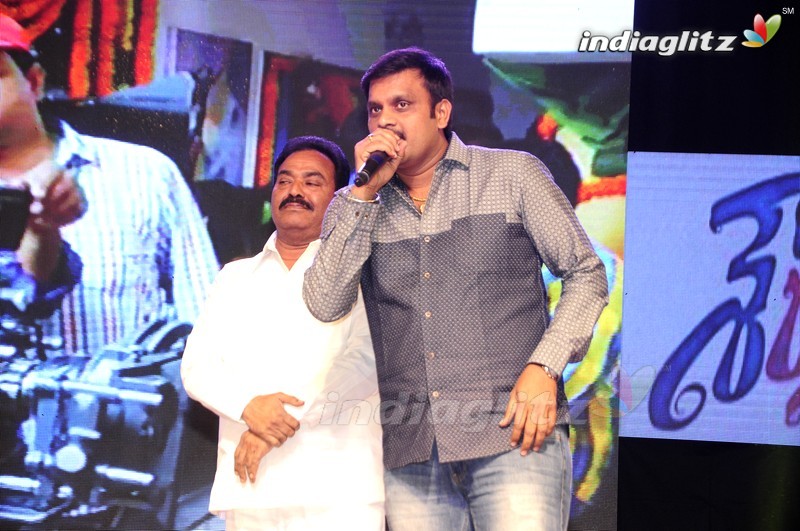 'Shourya' Audio Launch (Set-2)