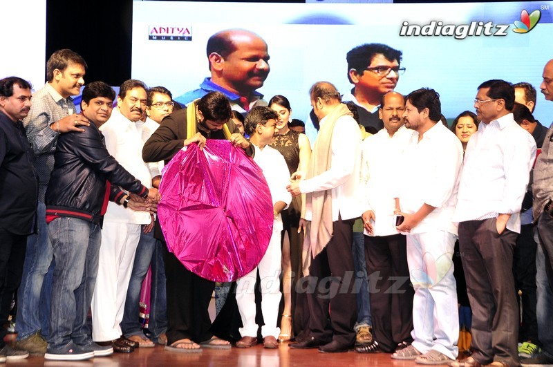 'Shourya' Audio Launch (Set-2)