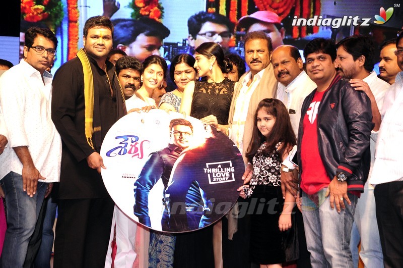 'Shourya' Audio Launch (Set-2)