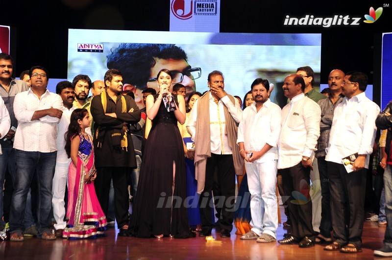 'Shourya' Audio Launch (Set-2)