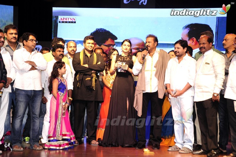 'Shourya' Audio Launch (Set-2)